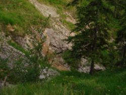 2013-07-20_Regina-F-Rau_Kochel-Rabenkopf (487).JPG